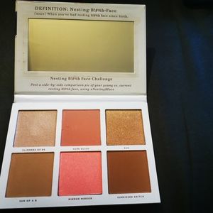 Brand new face palette